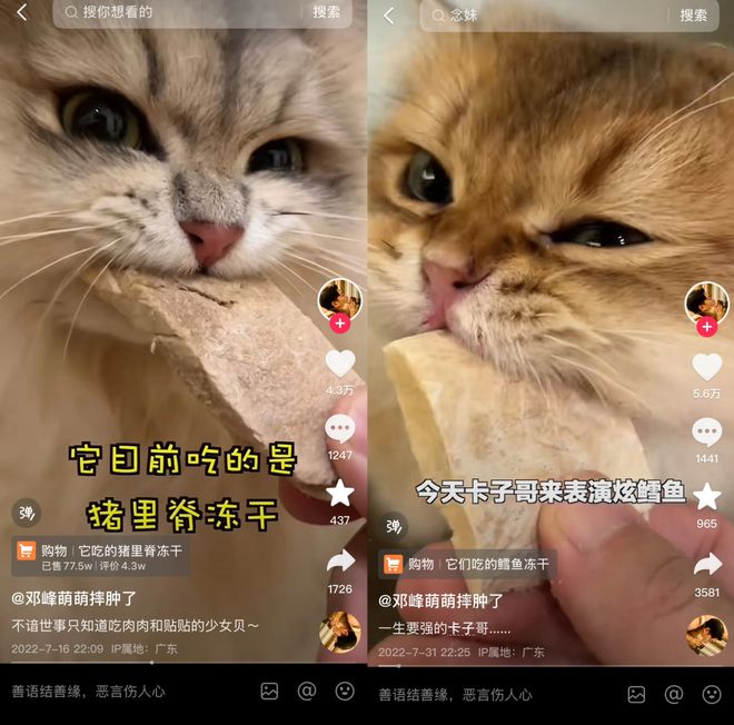 p3这条千亿赛道杀出一匹黑马麻将胡了年销2亿抖音类目To(图4)