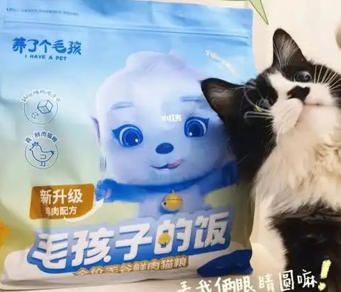 口粮！三只松鼠靠什么重返宠物食品赛道PG电子麻将胡了2零食巨头盯上毛孩子(图2)