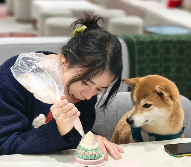 物月饼热销还可量身定制有商家一周内售出上千枚麻将胡了2试玩网站“毛孩子”也过中秋！成都宠(图1)
