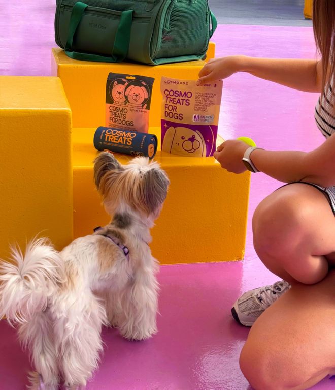 opet宠物零食以昆虫蛋白开辟全新赛道PG麻将胡了模拟器中俄联合品牌cosm