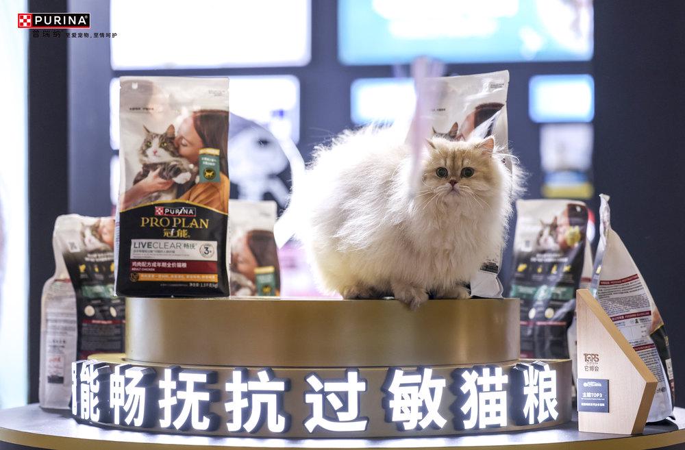 能携宠物全生命周期健康解决方案闪耀它博会麻将胡了2试玩网站科学营养、一生免疫冠(图3)