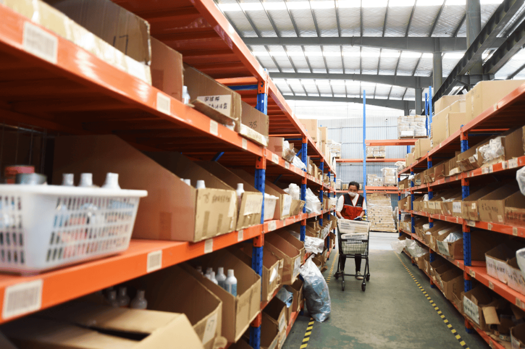 全国一半的猫和狗河北农业县大逆袭！PG电