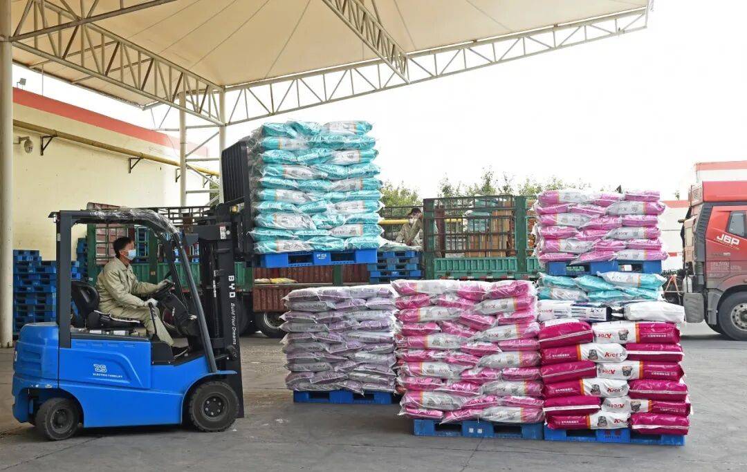 全国一半的猫和狗河北农业县大逆袭！PG电子游戏麻将胡了年入百亿喂饱了(图2)